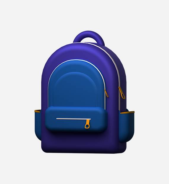Purple Color Bag